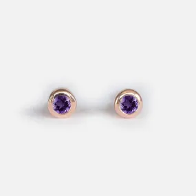 Amethyst Earrings Carina