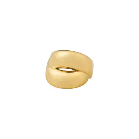 Raven Gold Plated Ring